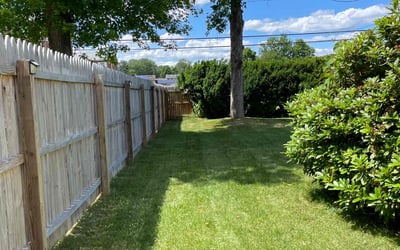 Photo of Elvie R.'s yard after getting lawn care in Wynnewood, PA