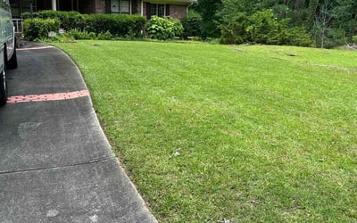 Photo of Tyhedia W.'s yard after getting lawn care in Mesquite, TX