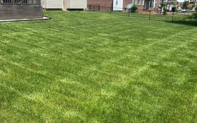 Photo of Lindsay R.'s yard after getting lawn care in Callahan, FL