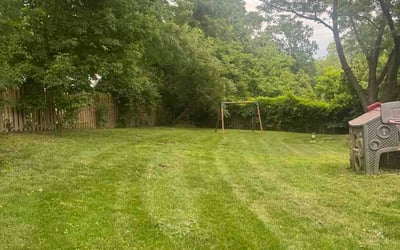 Photo of Gail D.'s yard after getting lawn care in Commerce Township, MI