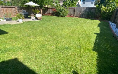 Photo of Tashia W.'s yard after getting lawn care in West Sacramento, CA