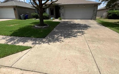 Photo of Steve B.'s yard after getting lawn care in Baldwin, NY