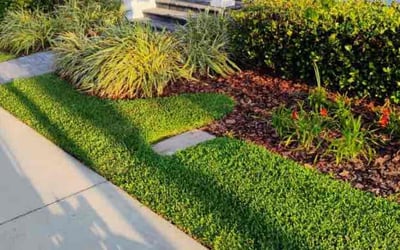 Photo of Sabrina M.'s yard after getting lawn care in Orlando, FL