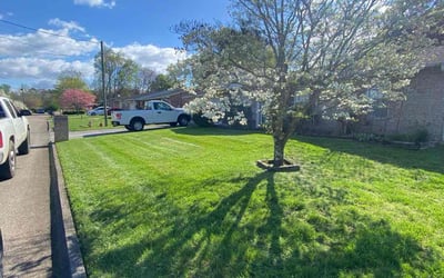 Photo of Lee T.'s yard after getting lawn care in Farragut, TN