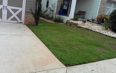 Photo of Nicolle W.'s yard after getting lawn care in District Heights, MD