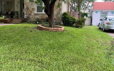 Photo of Mary J.'s yard after getting lawn care in Antioch, IL