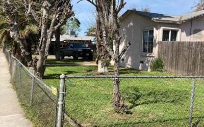 Photo of Jennifer W.'s yard after getting lawn care in Fresno, CA