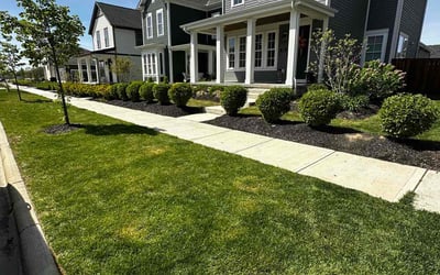 Photo of Steven e.'s yard after getting lawn care in Lewis Center, OH
