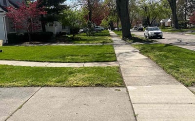 Photo of Nancy B.'s yard after getting lawn care in Farmington, MI