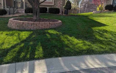 Photo of Janeall S.'s yard after getting lawn care in Lacygne, KS