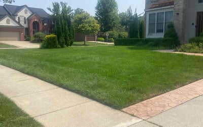 Photo of Lexus H.'s yard after getting lawn care in Suwanee, GA
