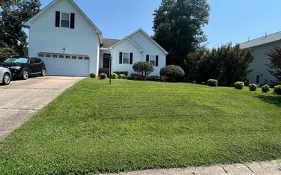 Photo of Chesnee G.'s yard after getting lawn care in Hopewell, VA
