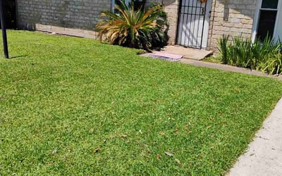 Photo of Ruth B.'s yard after getting lawn care in Anderson, IN