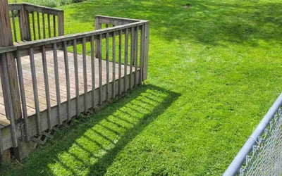 Photo of Diana R.'s yard after getting lawn care in Monessen, PA