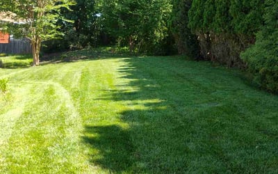 Photo of Subhajit G.'s yard after getting lawn care in Apex, NC