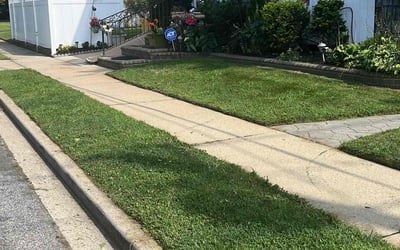Photo of Jasmine S.'s yard after getting lawn care in Massapequa, NY