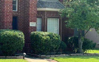 Photo of Grace O.'s yard after getting lawn care in Forney, TX