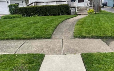 Photo of Eileen B.'s yard after getting lawn care in Elmhurst, IL