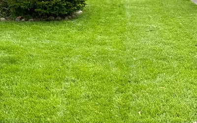 Photo of Tony D.'s yard after getting lawn care in Fort Wayne, IN
