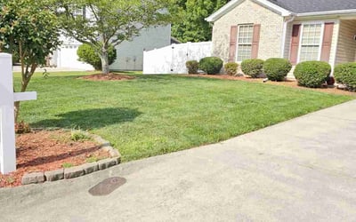 Photo of Elissa H.'s yard after getting lawn care in High Point, NC