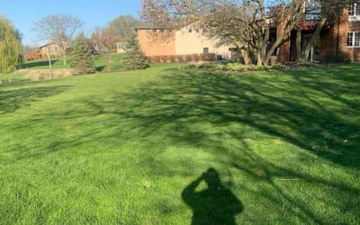 Photo of Ernestine D.'s yard after getting lawn care in Frankfort, IL