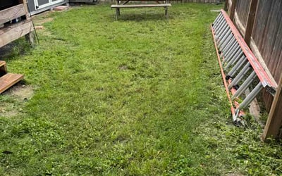 Photo of Teresa M.'s yard after getting lawn care in Massillon, OH