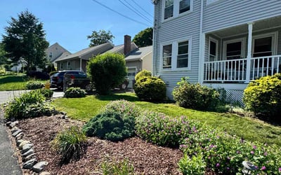 Photo of Cindy T.'s yard after getting lawn care in Braintree, MA