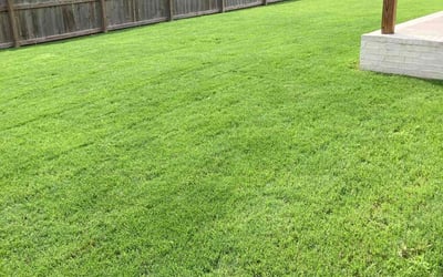 Photo of David K.'s yard after getting lawn care in Round Rock, TX