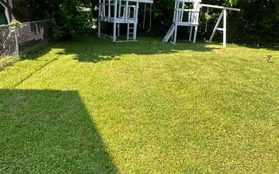 Photo of Araba M.'s yard after getting lawn care in Rosedale, MD