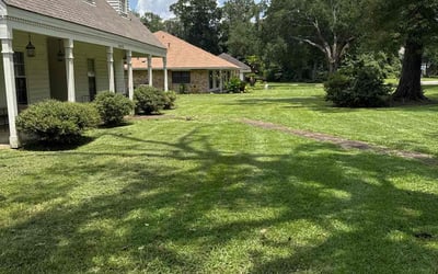 Photo of Shanteria W.'s yard after getting lawn care in Jackson, MS