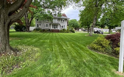 Photo of Yvette M.'s yard after getting lawn care in North Olmsted, OH