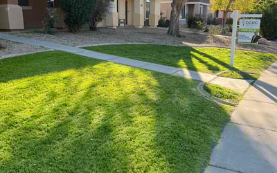 Photo of Chelsea S.'s yard after getting lawn care in Litchfield Park, AZ