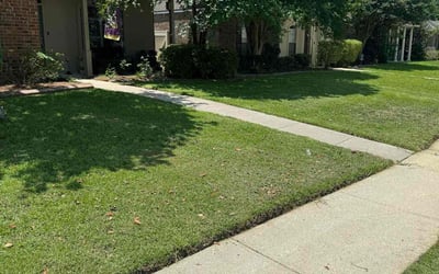 Photo of Angelicia H.'s yard after getting lawn care in Independence, MO