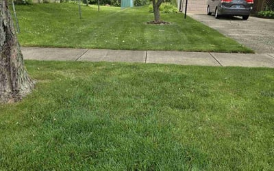 Photo of Frank S.'s yard after getting lawn care in Bloomingdale, IL
