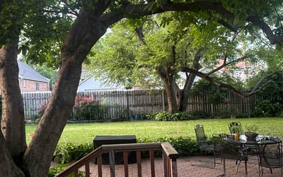 Photo of Allison J.'s yard after getting lawn care in Canton, GA