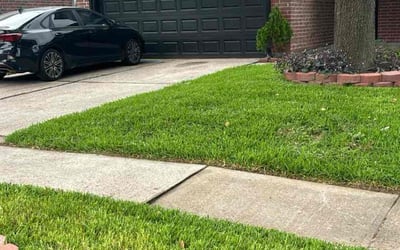 Photo of Deneen B.'s yard after getting lawn care in Lompoc, CA