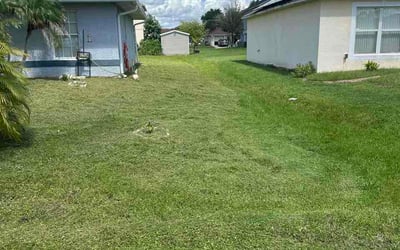Photo of Russell M.'s yard after getting lawn care in Lenoir, NC
