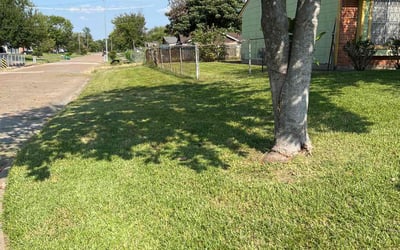 Photo of Kandy R.'s yard after getting lawn care in Houston, TX