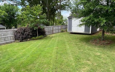 Photo of Brian S.'s yard after getting lawn care in Glen Allen, VA