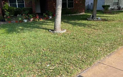 Photo of Regina S.'s yard after getting lawn care in Mission, TX
