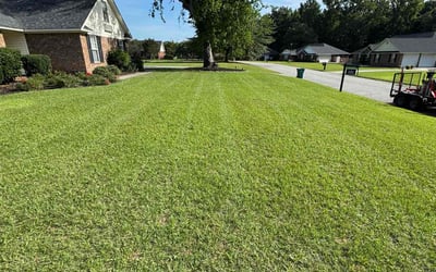 Photo of Ramona E.'s yard after getting lawn care in Strongsville, OH