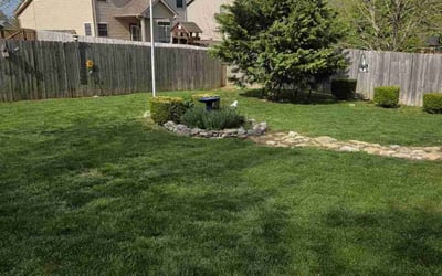 Photo of Aaron W.'s yard after getting lawn care in Georgetown, KY