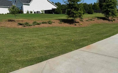 Photo of Don F.'s yard after getting lawn care in West Columbia, SC