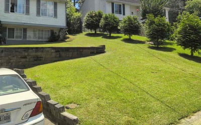 Photo of Michelle J.'s yard after getting lawn care in Shirley, NY