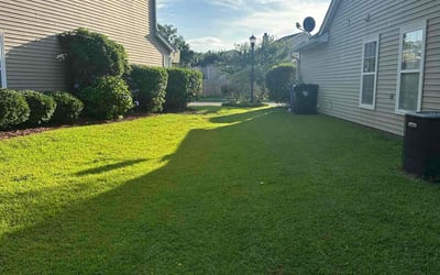 Photo of Eric P.'s yard after getting lawn care in Cedar Hill, TX