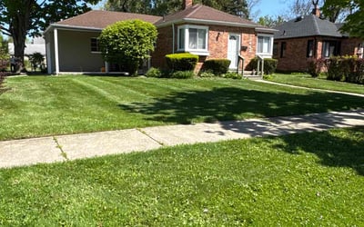 Photo of Ben C.'s yard after getting lawn care in Reisterstown, MD