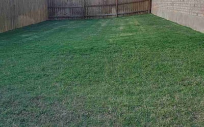 Photo of Jon T.'s yard after getting lawn care in Temple, TX