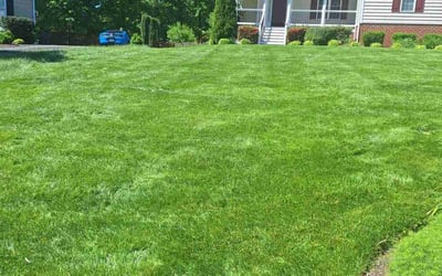 Photo of Mitchell B.'s yard after getting lawn care in Grand Rapids, MI