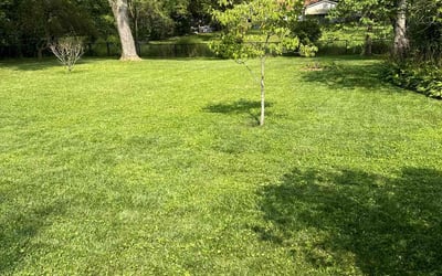 Photo of Michelle V.'s yard after getting lawn care in Glenside, PA