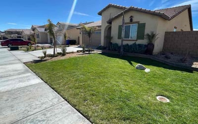 Photo of Bobby M.'s yard after getting lawn care in Victorville, CA